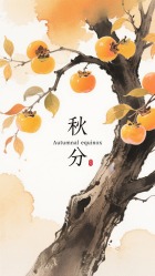 结果图