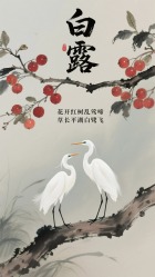 结果图