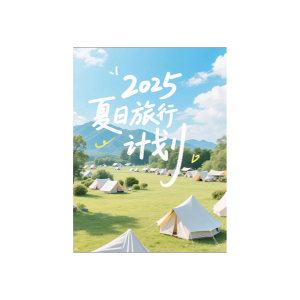 结果图