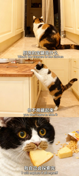 结果图
