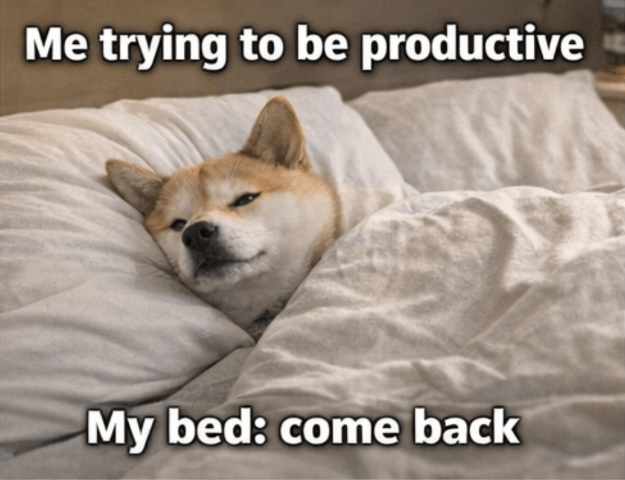 Productivity is temporary. Bed is forever.