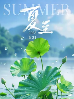夏至海报