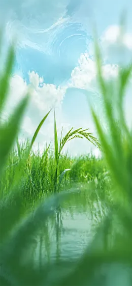 小满背景