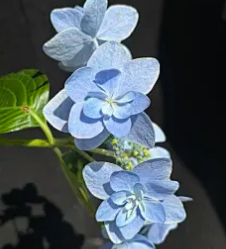 自然质感预览 2