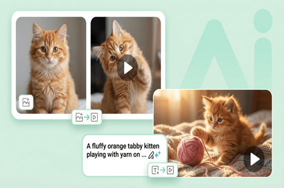 AI Cat Video Generator