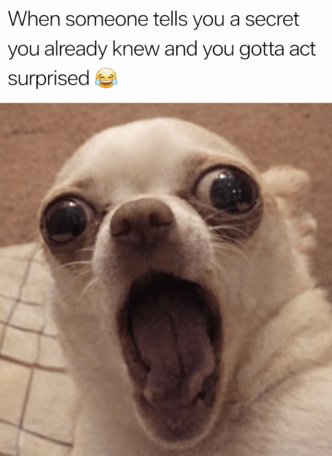 You're pretending to be surprised.