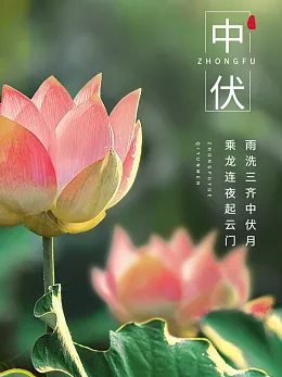 中伏海报