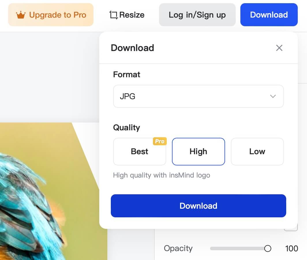 Screenshot demonstrating the final step of downloading the rotated image from the insMind tool