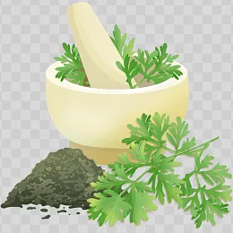三伏天元素